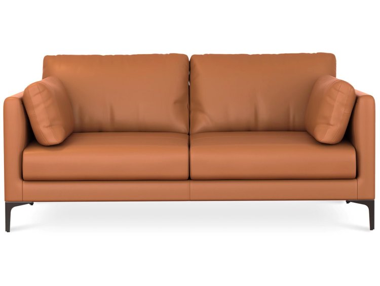 Двухместный диван из Эко-кожи Кларке C982344